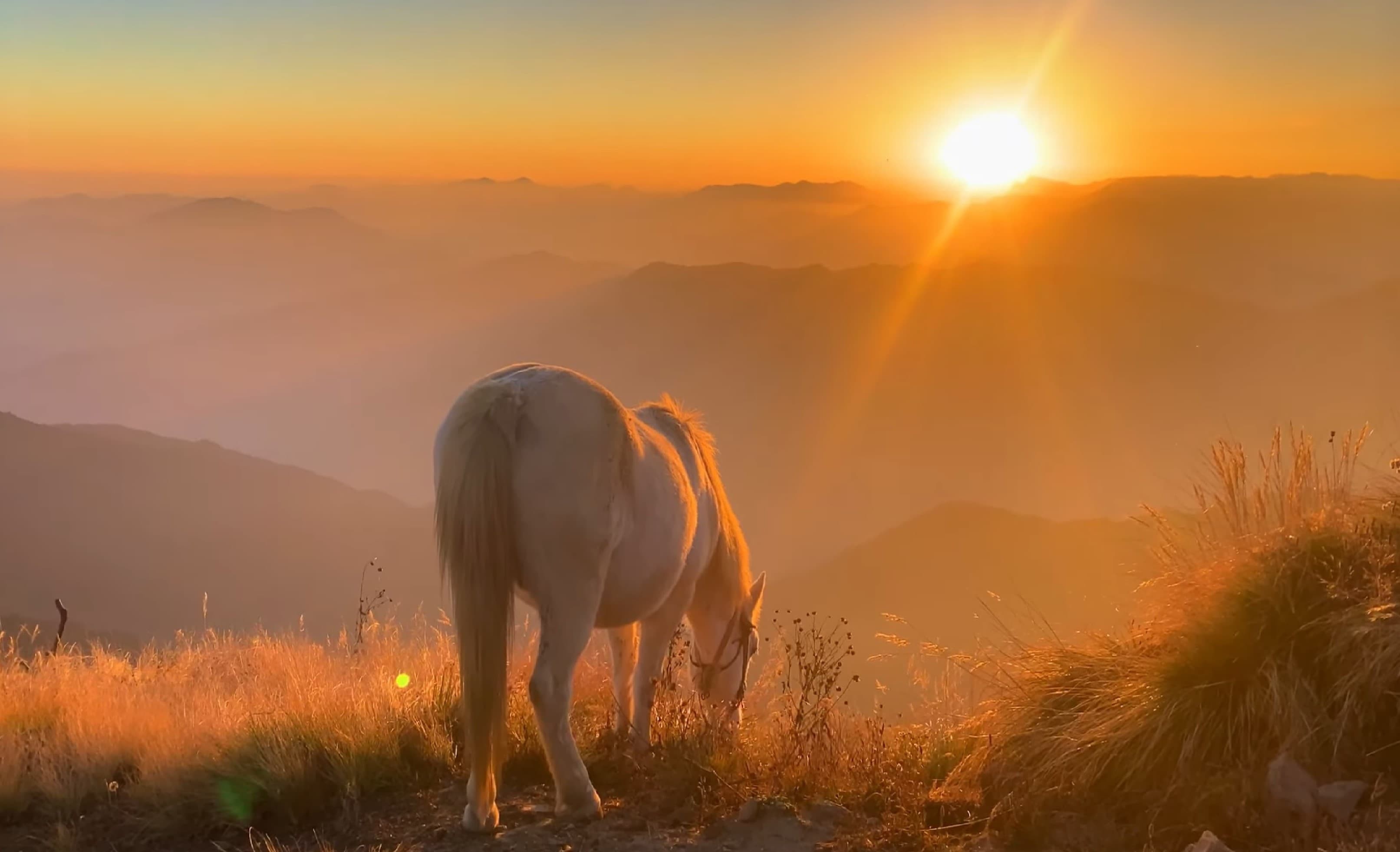 Sunrise View from Khumai Danda